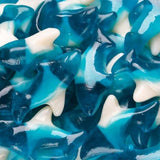 Blue Gummy Sharks