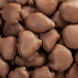 Milk Chocolate Caramel Pecan Patties