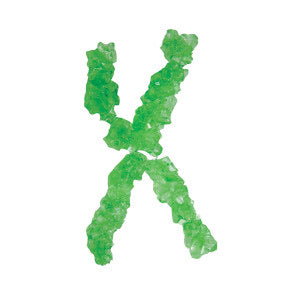 Rock Candy Strings - Lime